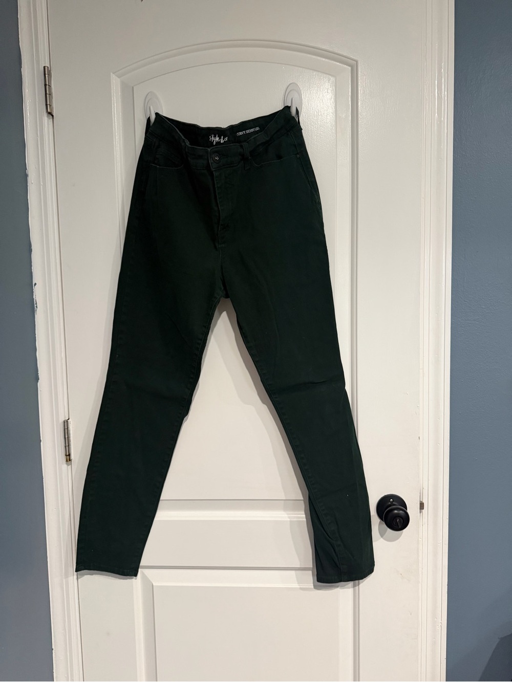 Style & Co. Dark Green Men’s Pants